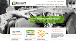 Desktop Screenshot of emergentconsultants.com